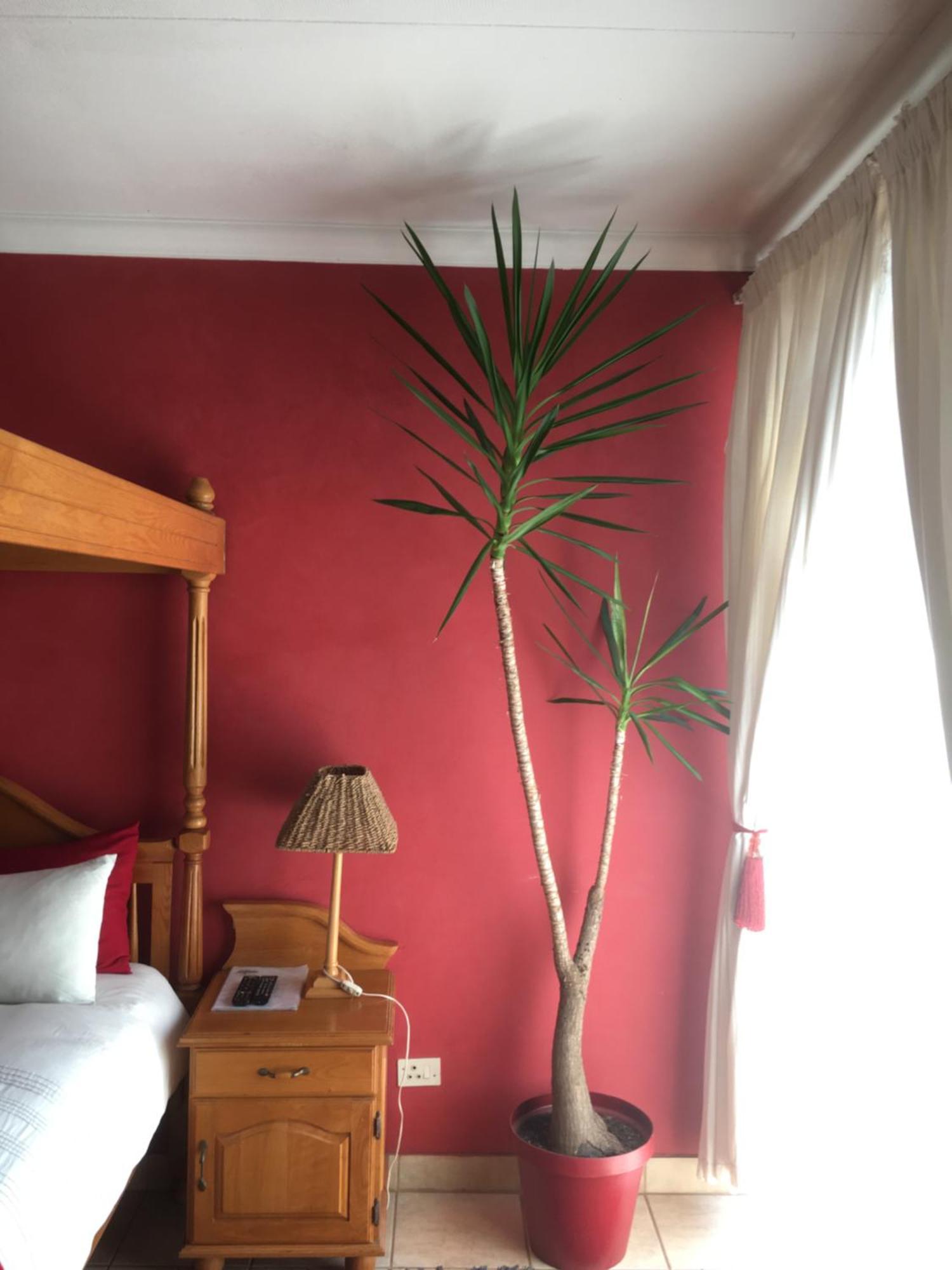 Birrea Guest House Polokwane Exterior foto